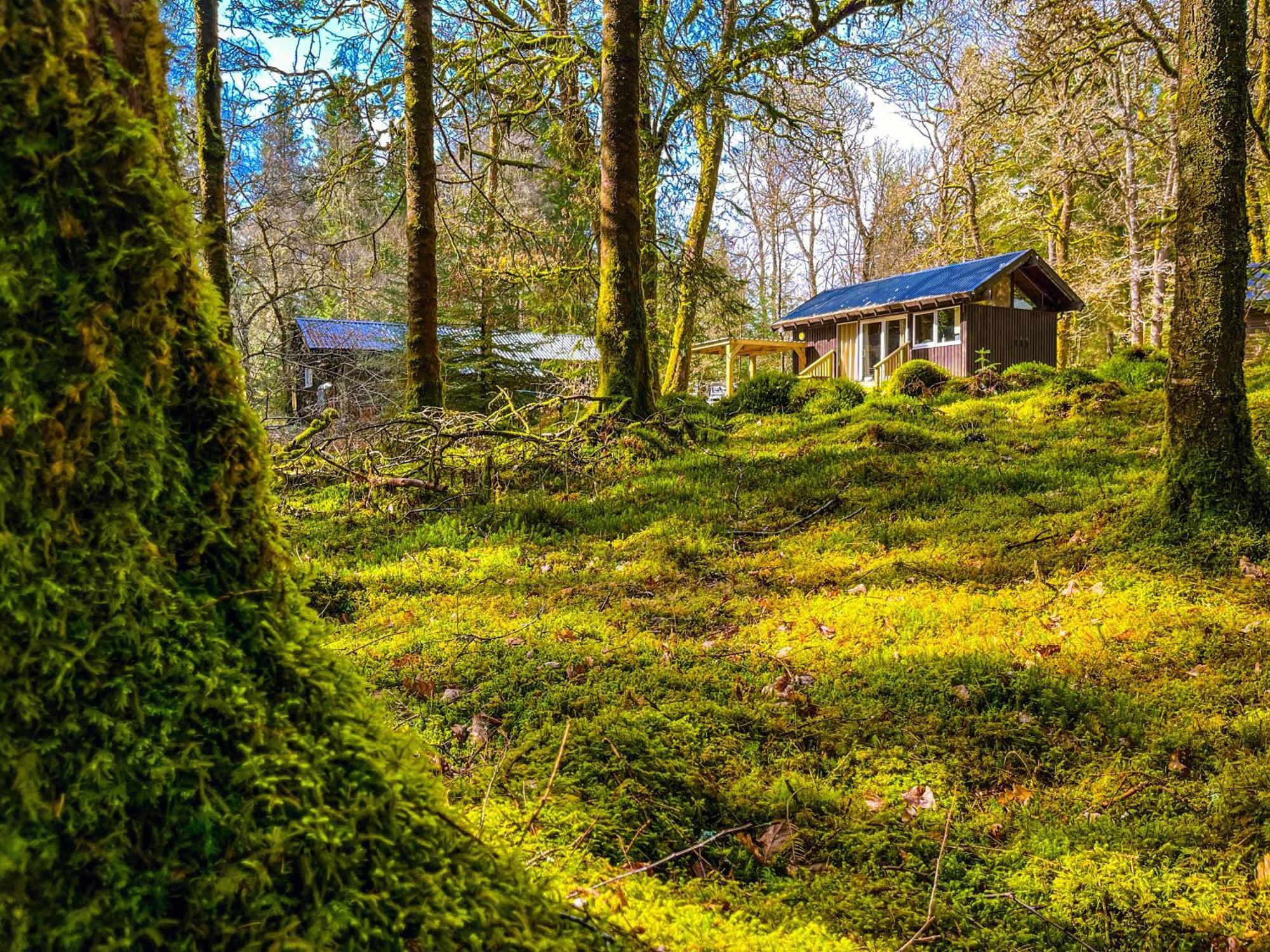 Loch Aweside Forest Cabins Dalavich Cameră foto